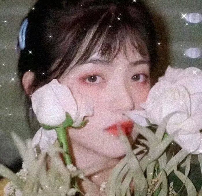 司藤